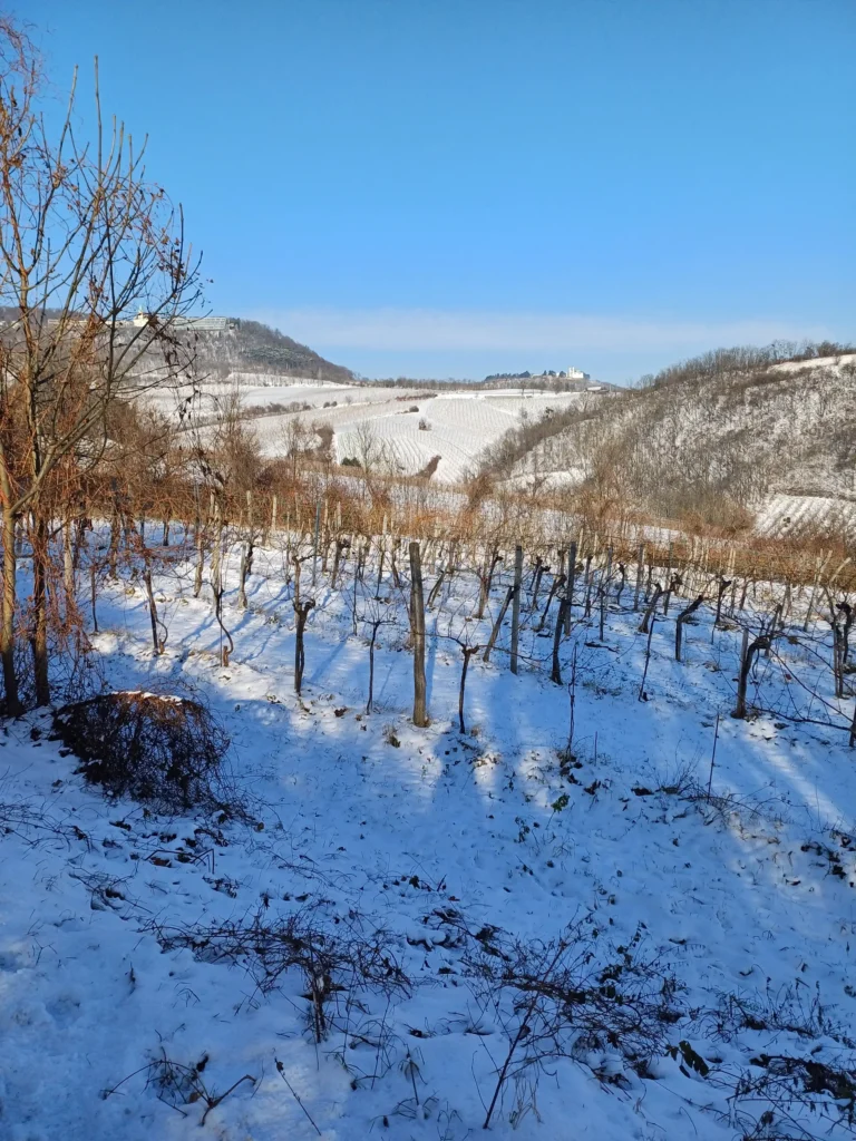 Berg mit Schnee im Winter